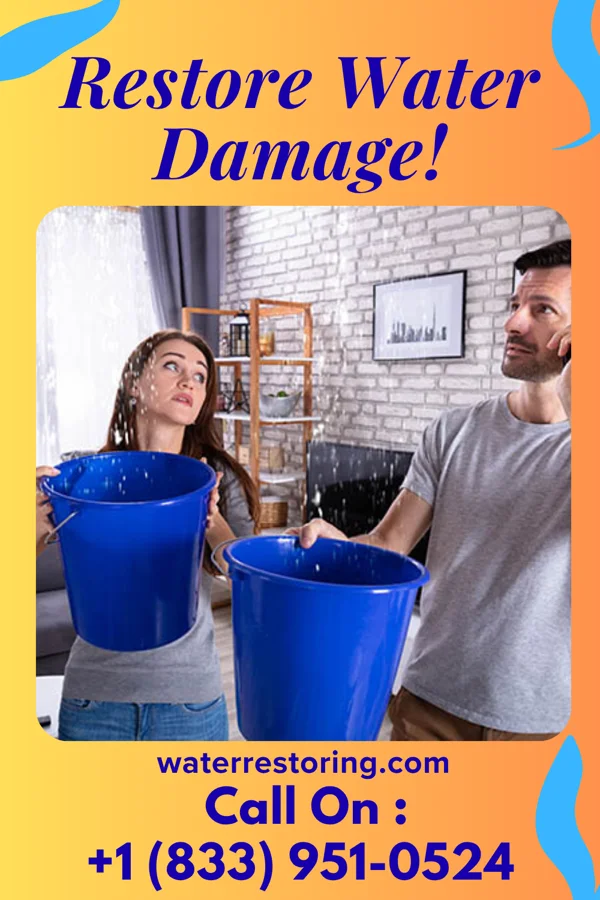 water restoration Solid Water Solutions Ambridge