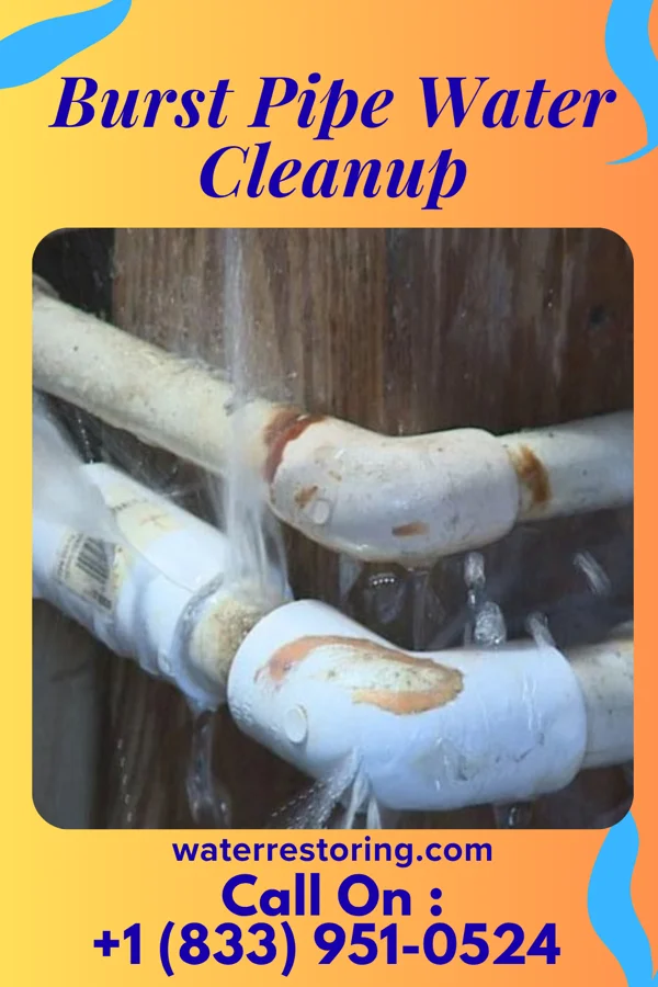 Burst Pipe Water Cleanup in Ambridge, PA