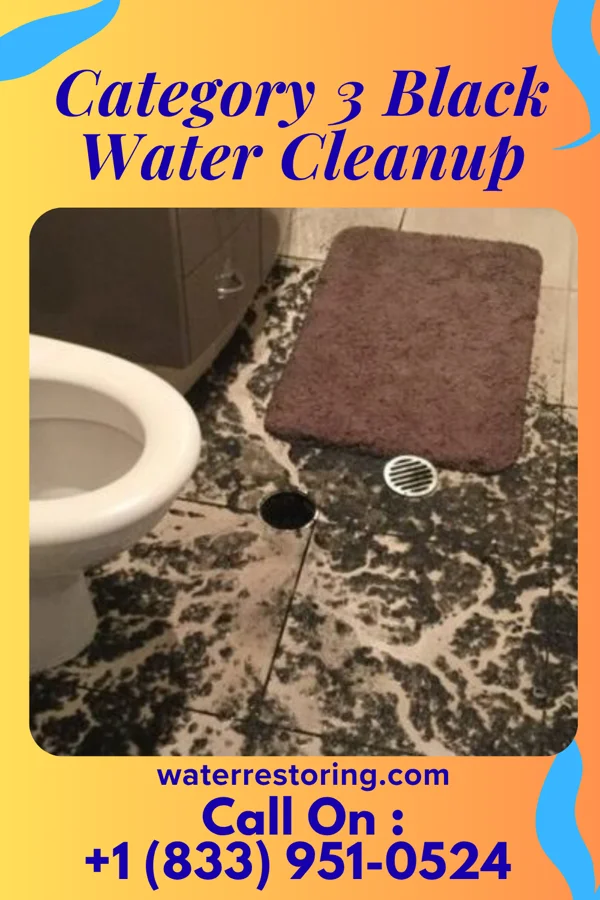 Category 3 Black Water Cleanup in Ambridge, PA
