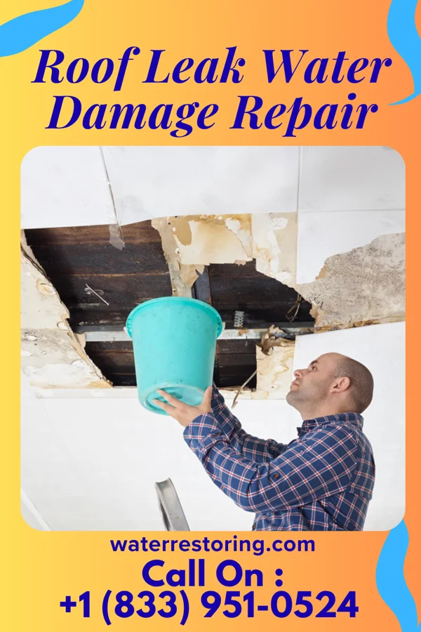 Roof Leak Water Damage Repair in Ambridge, PA