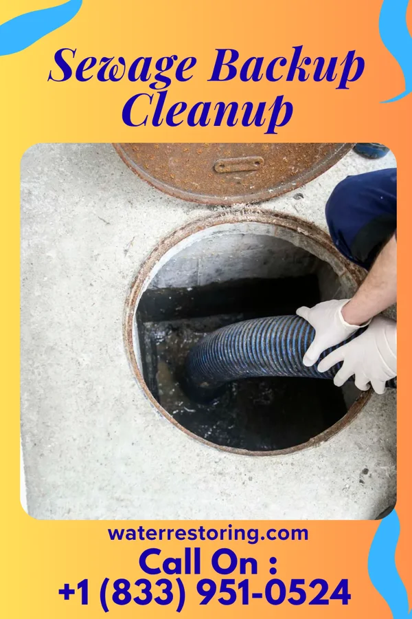 Sewage Backup Cleanup in Ambridge, PA