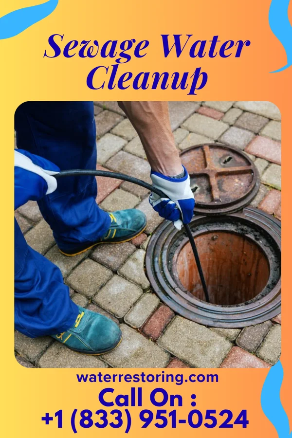 Sewage Water Cleanup in Ambridge, PA